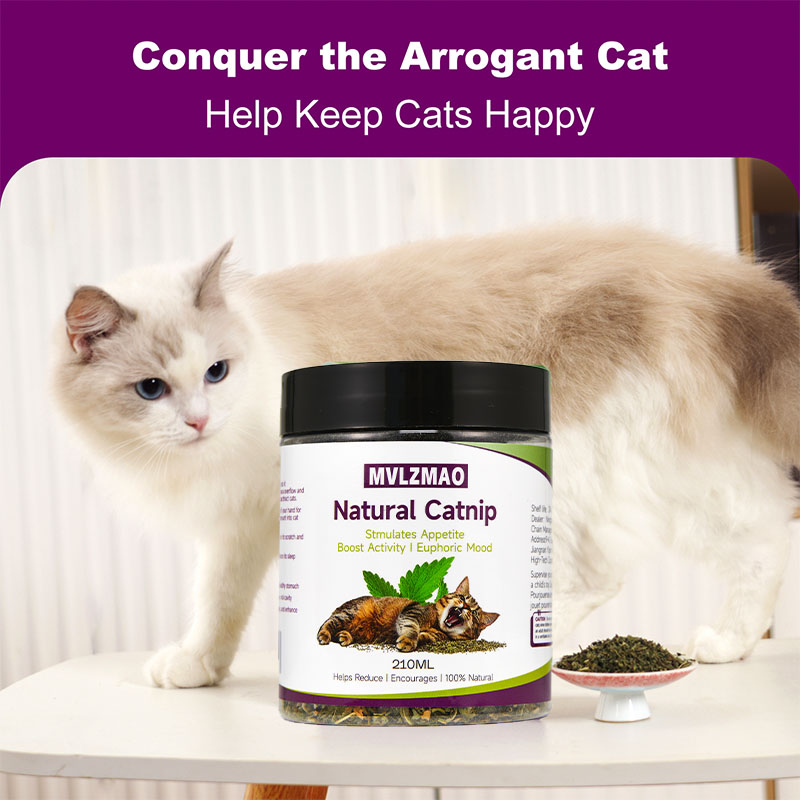 ของเล่นแมว - Silvervine Catnip - Herbal Wellness Blend บทวิจารณ์และราคา
