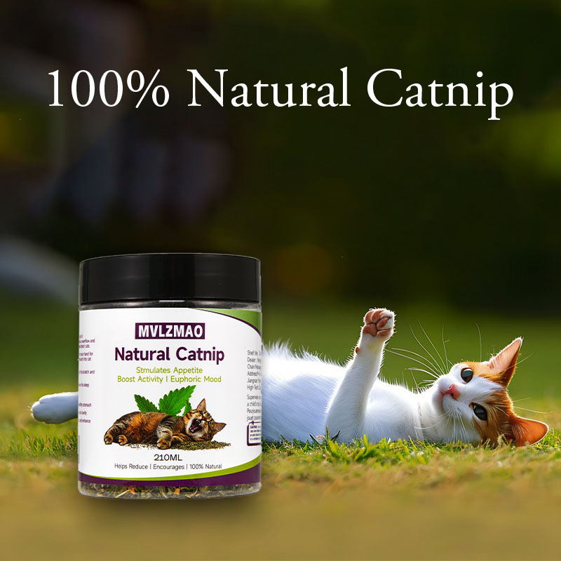 ของเล่นแมว - Silvervine Catnip - Herbal Wellness Blend บทวิจารณ์และราคา