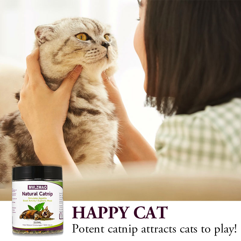 ของเล่นแมว - Silvervine Catnip - Herbal Wellness Blend บทวิจารณ์และราคา